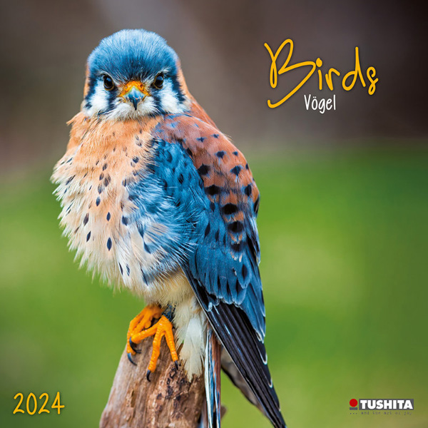 Zidni kalendar BIRDS IN OUR GARDEN 2024 