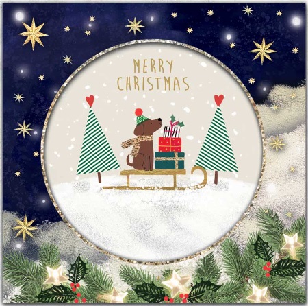 Božićna čestitka PAS NA SANKAMA 