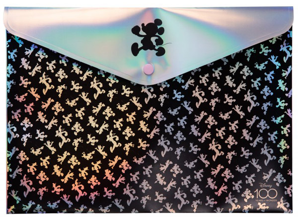 Fascikla za dokumenta A4 / VIŠE VRSTA 