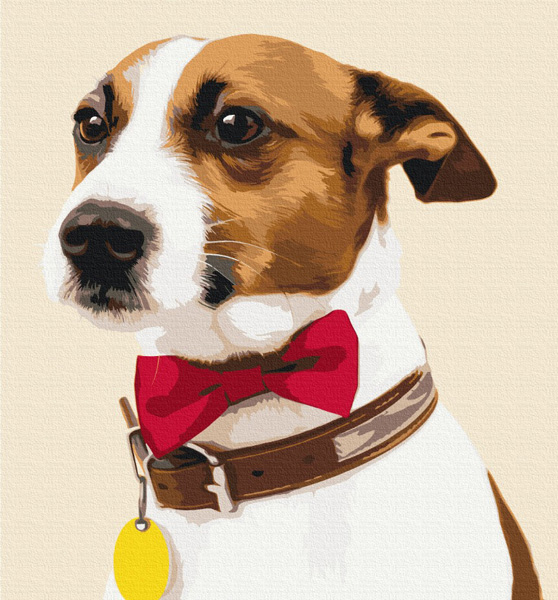 Kreativni set OBOJ PO BROJEVIMA - KUCA ŠAMPION 