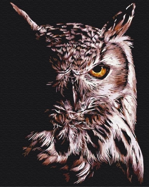 Kreativni set OBOJ PO BROJEVIMA - SOVA 40x50 cm 