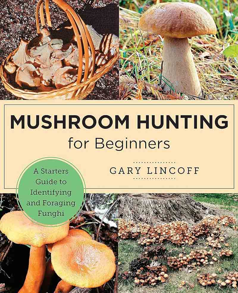 MUSHROOM HUNTING FOR BEGINNERS 