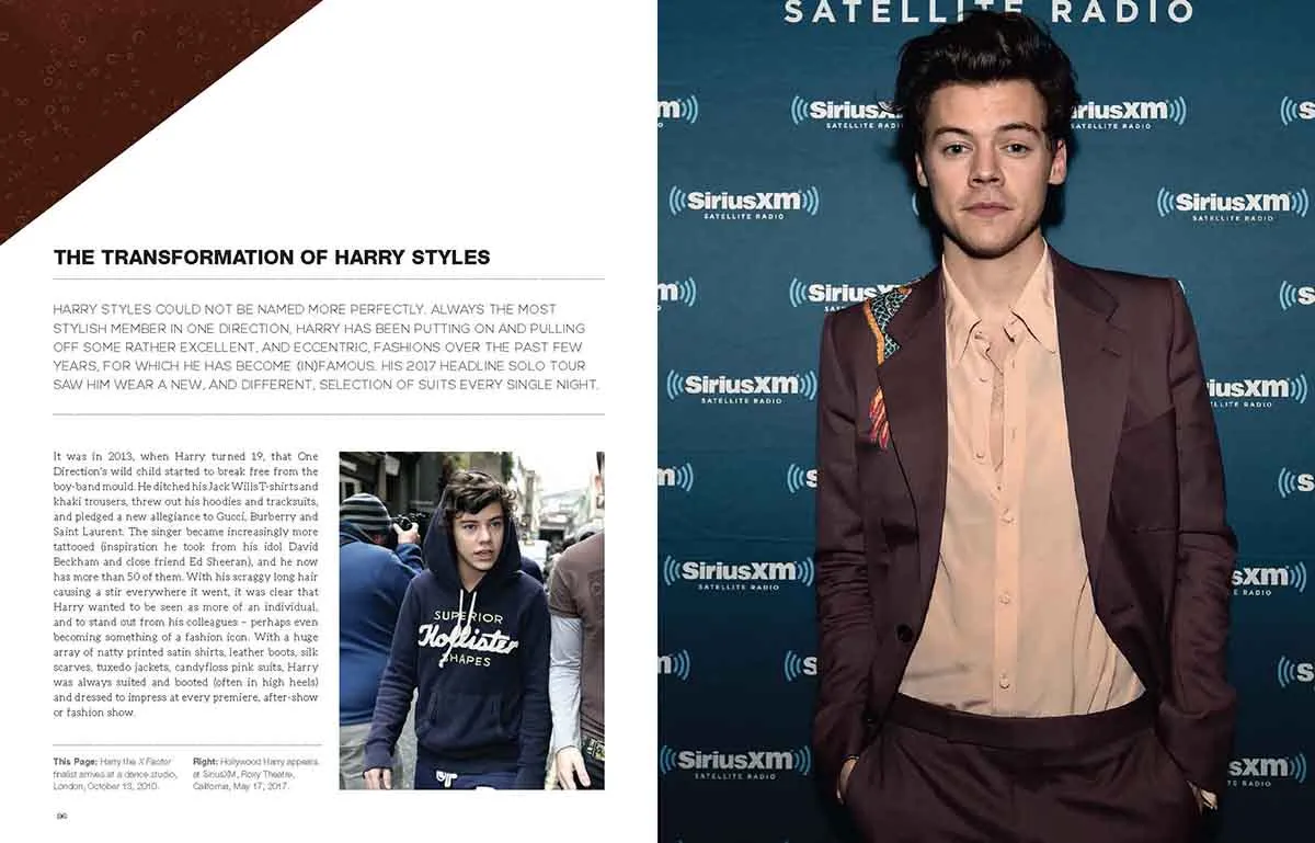 THE LIFE AND MUSIC OF HARRY STYLES 