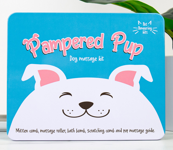 Komplet za masažu psa 