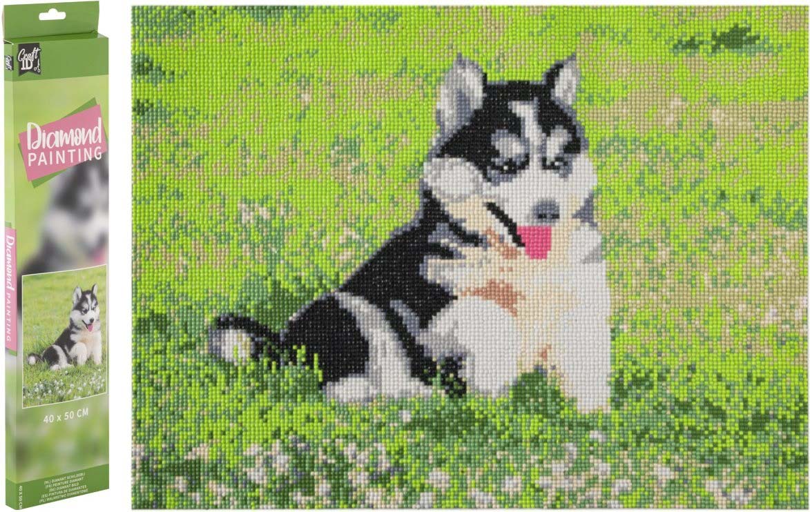 Slikanje cirkonima DIAMOND PAINTING - DOG 40x50cm 