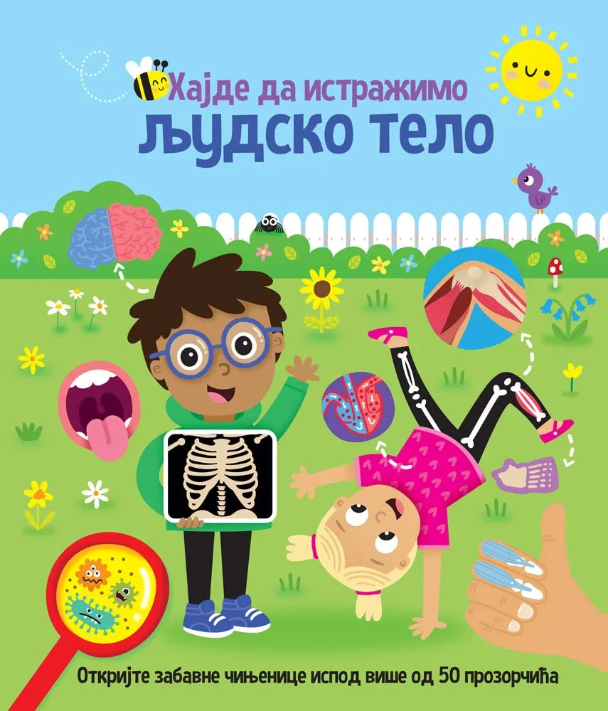 HAJDE DA ISTRAŽIMO: LJUDSKO TELO 