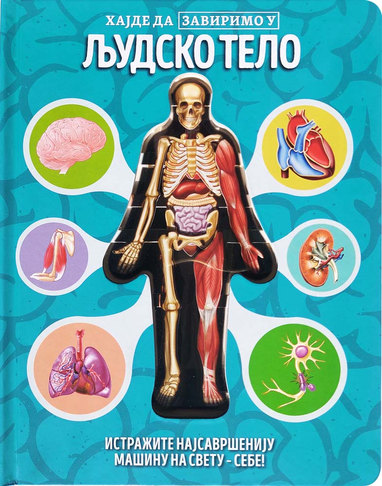 HAJDE DA ZAVIRIMO U: LJUDSKO TELO 