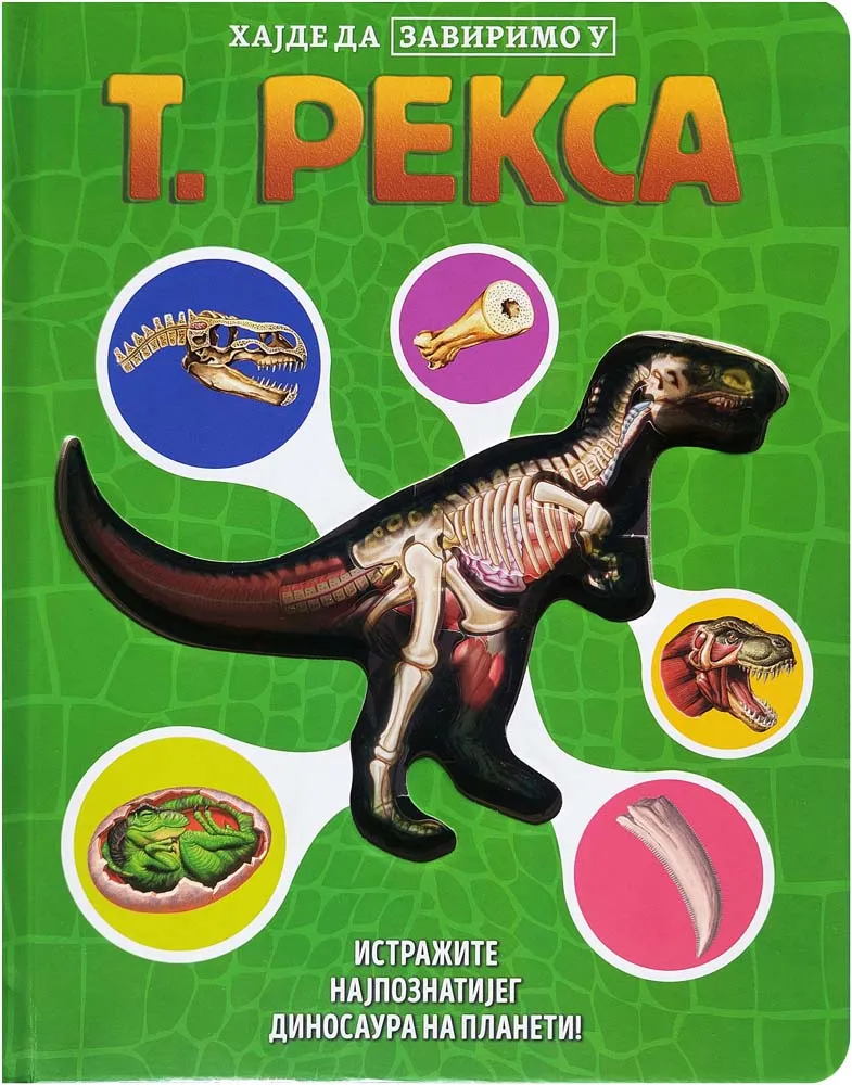 HAJDE DA ZAVIRIMO U: T. REKSA 