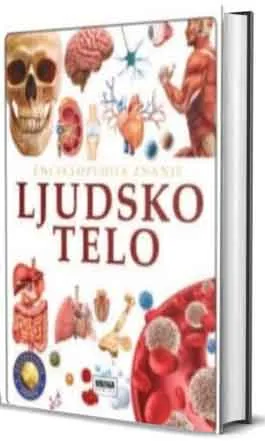 LJUDSKO TELO 