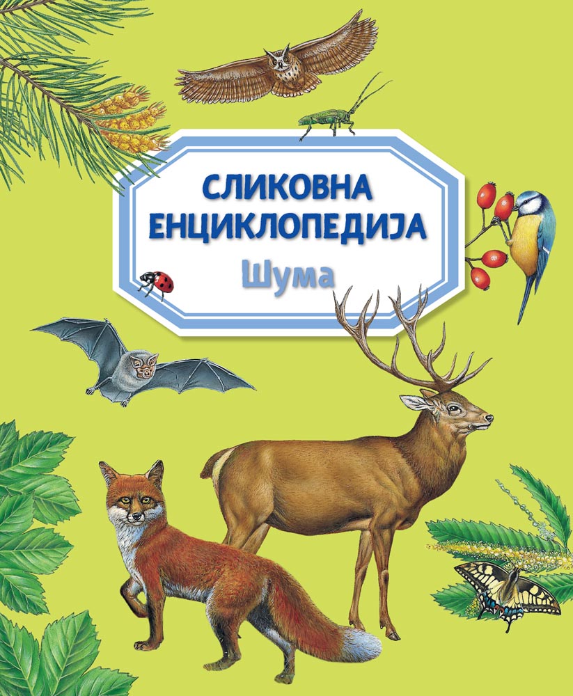 SLIKOVNA ENCIKLOPEDIJA: ŠUMA 