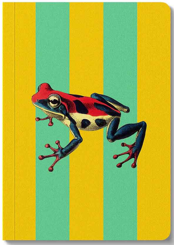 Notes STRIPED FROG 