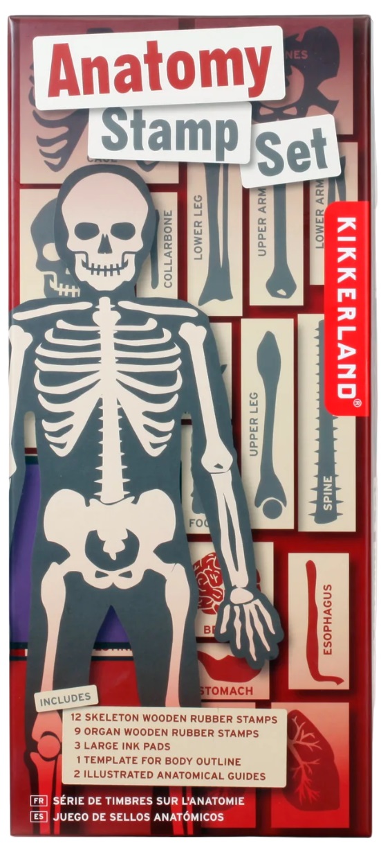 Set pečata ANATOMIJA 