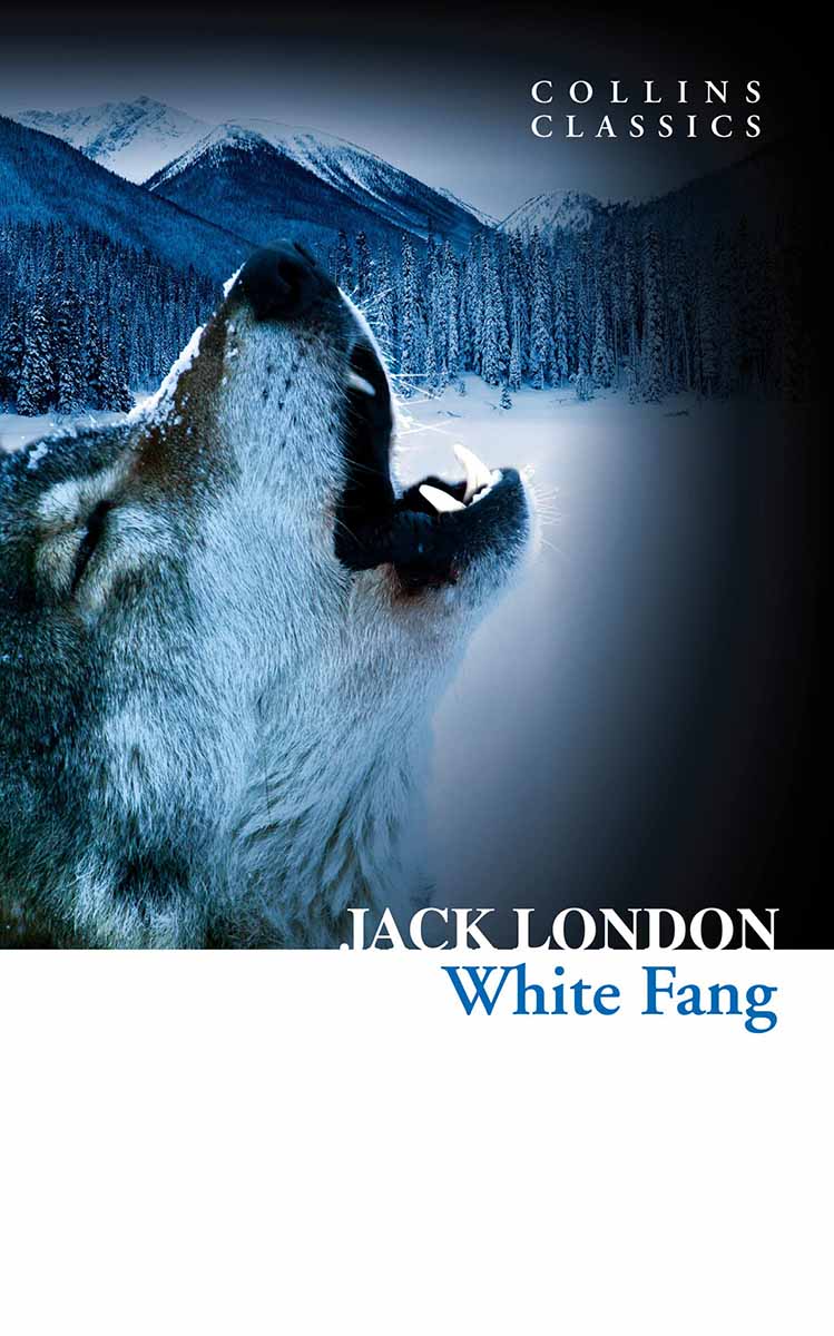 WHITE FANG 
