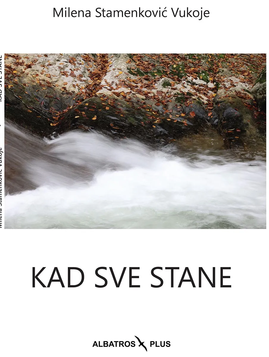 KAD SVE STANE 