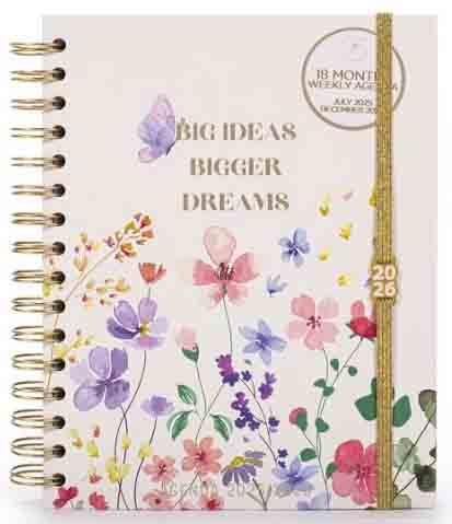 Planer 18 MONTH DAILY BIG IDEAS od jula 2025. do decembra 2026. godine 