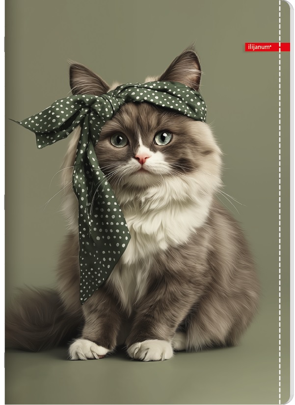 Sveska na linije A4 PETS 52 lista (Više vrsta) 