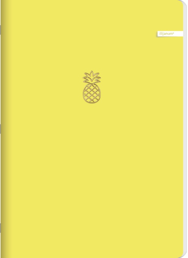 Sveska na kvadratiće A5 SOFT TOUCH 96 listova (Više vrsta) 