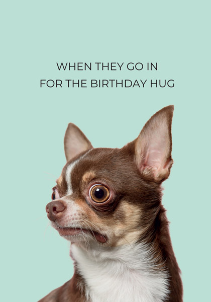 Rođendanska čestitka BIRTHDAY HUG 