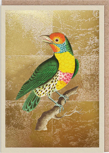 Čestitka LEMON-THROATED BARBET 