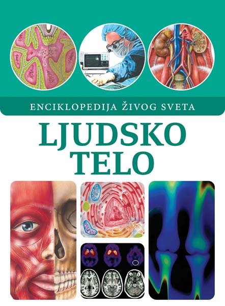 LJUDSKO TELO 