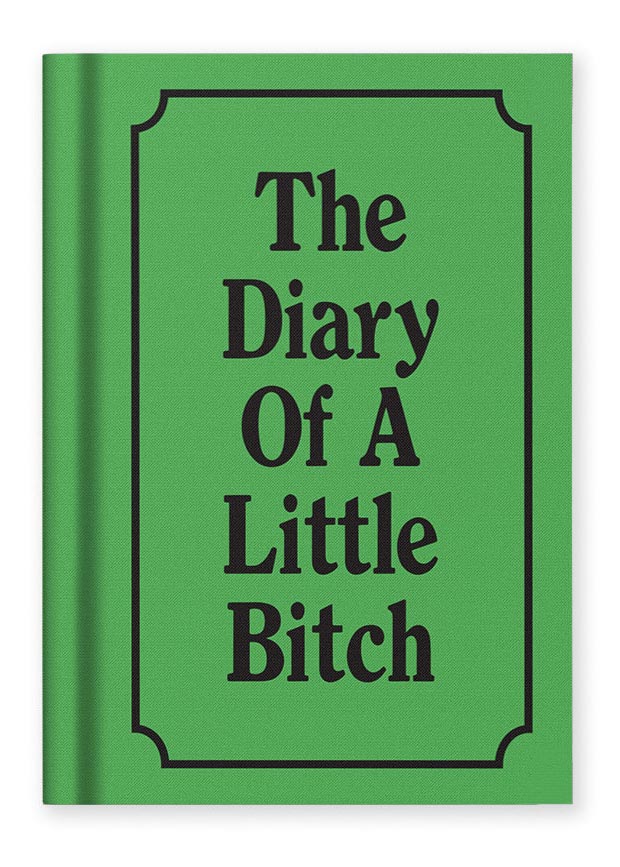 Notes A7 THE DIARY OF A LITTLE BITCH 