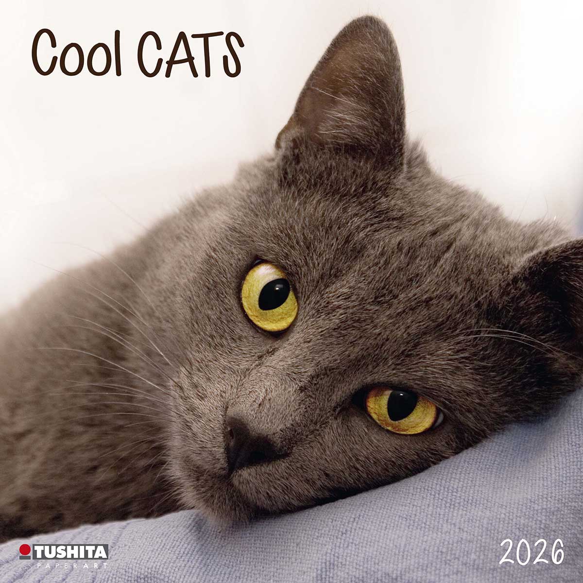 Zidni kalendar 2026 COOL CATS 