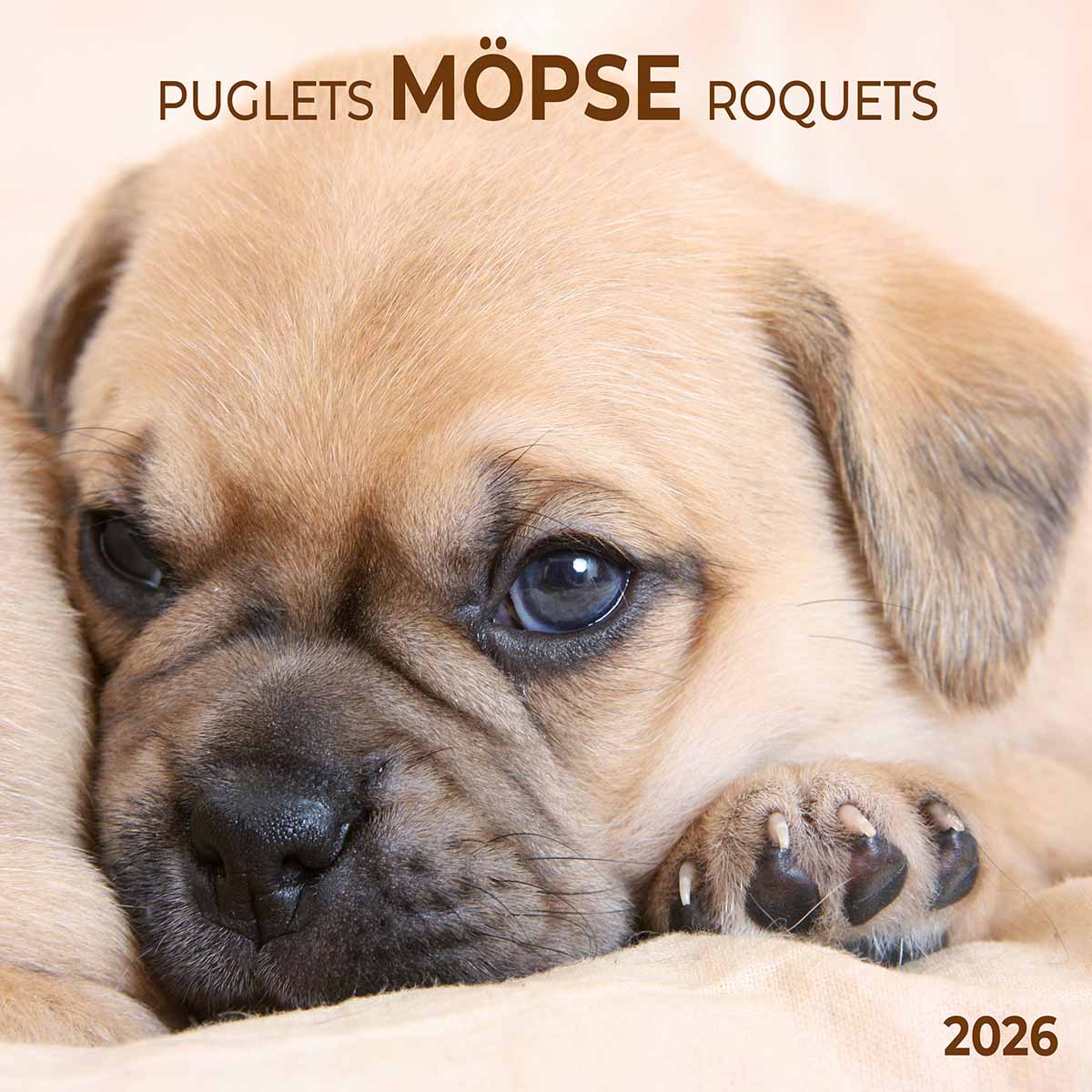 Zidni kalendar 2026 MOPS - PUGLETS 