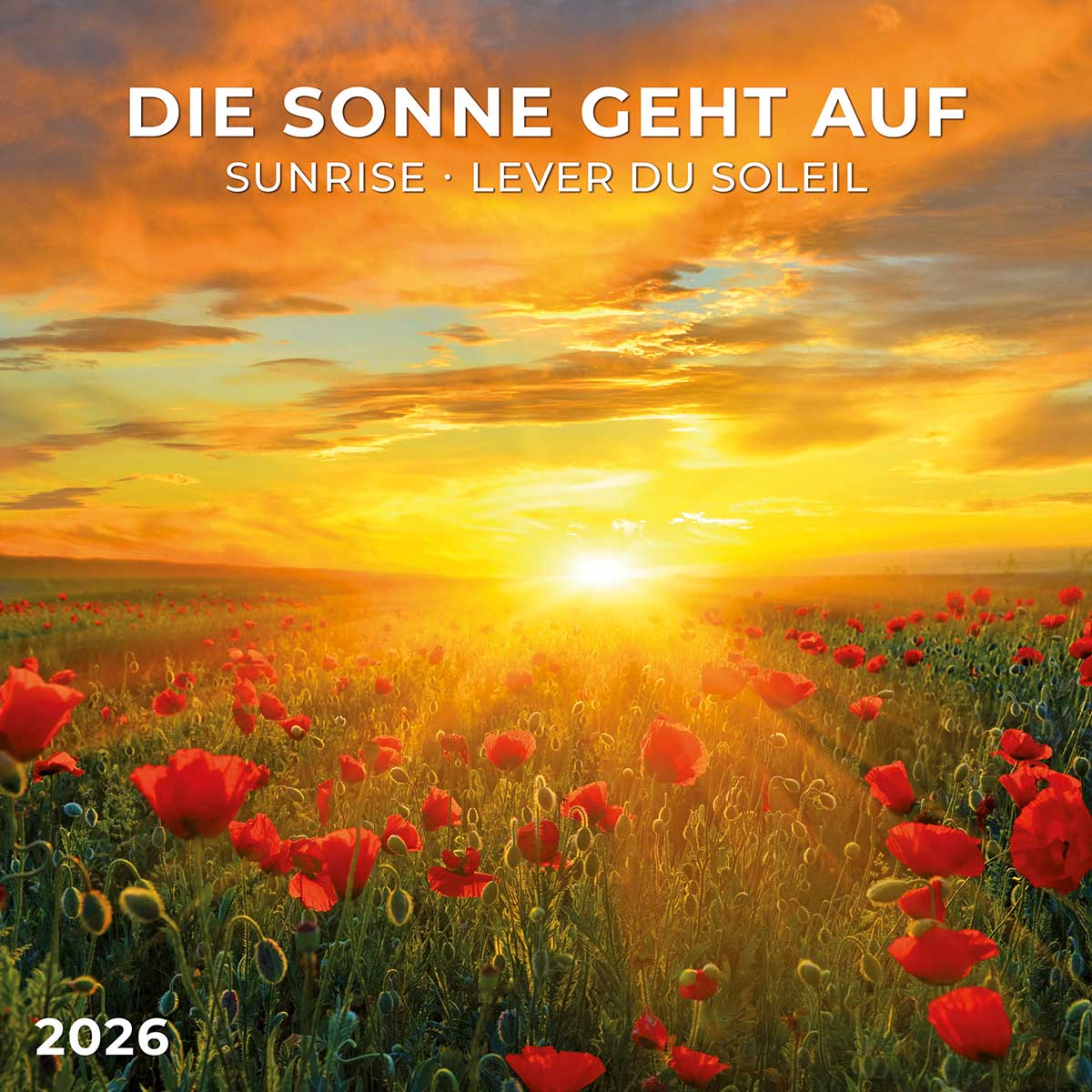 Zidni kalendar 2026 SUNRISE 