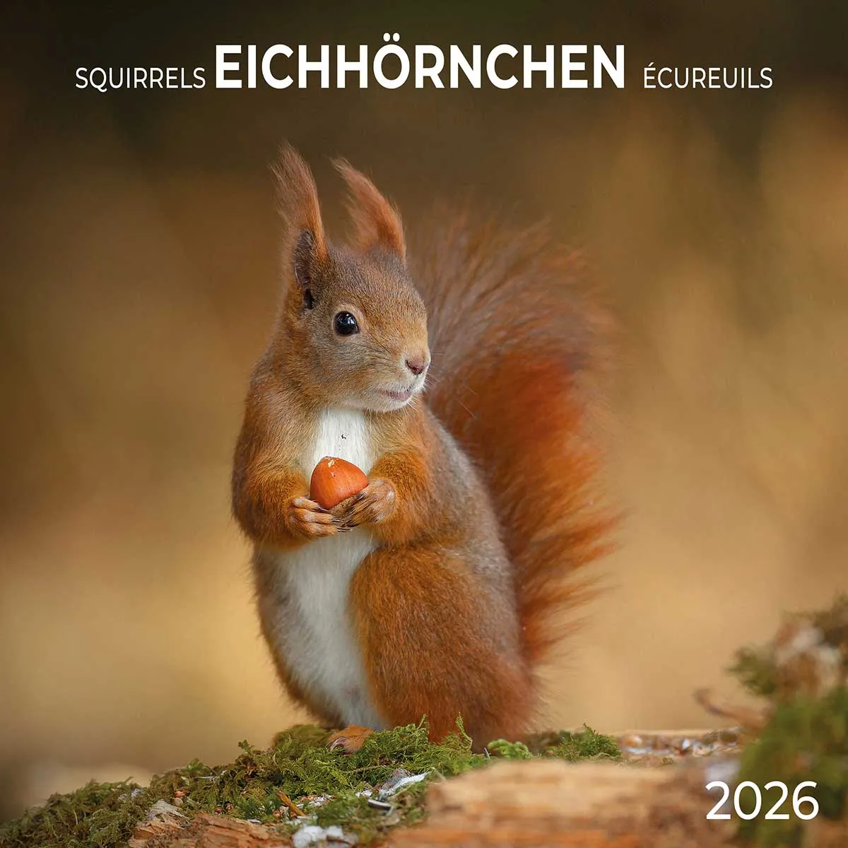 Zidni kalendar 2026 SQUIRREL