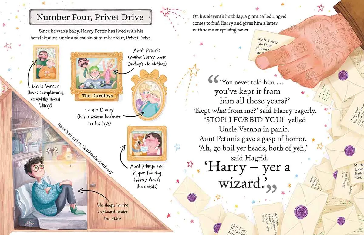HARRY POTTER POCKET POTTERS 