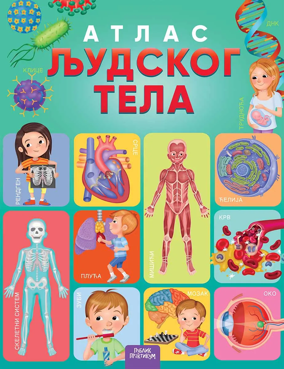 ATLAS LJUDSKOG TELA 