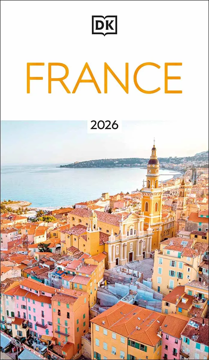 FRANCE EYEWITNESS 