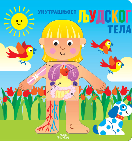 UNUTRAŠNJOST LJUDSKOG TELA 