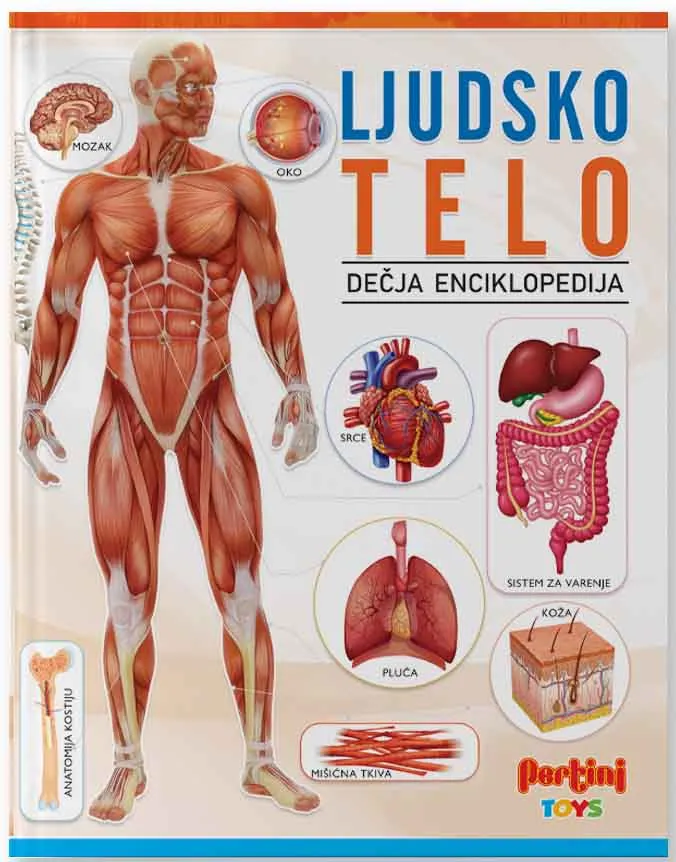 LJUDSKO TELO - DEČIJA ENCIKLOPEDIJA 