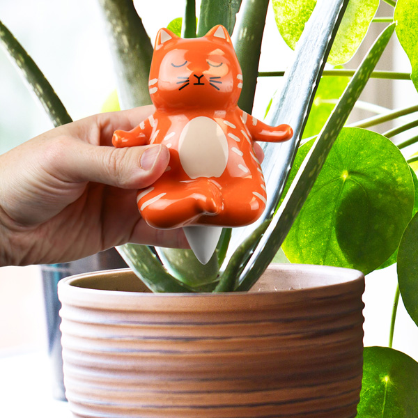 Figura za saksiju i zalivanje Yoga Cat 