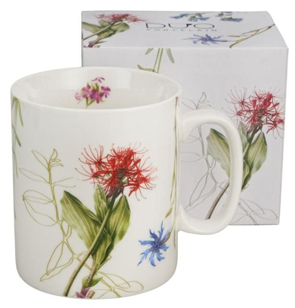 Velika šolja COLORS OF NATURE 