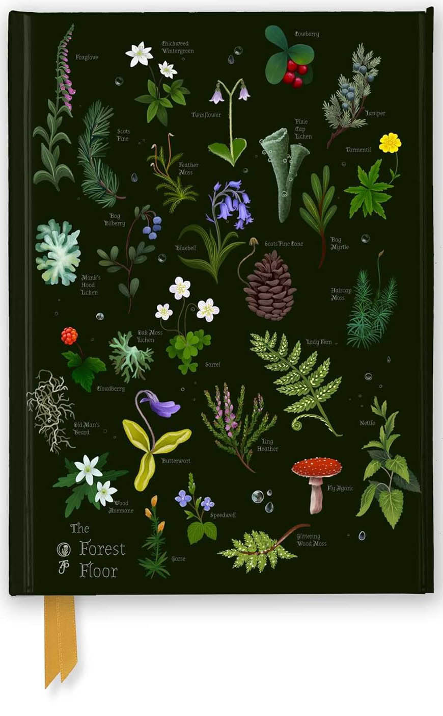 Notes ANNA STEAD: The Forest Floor 