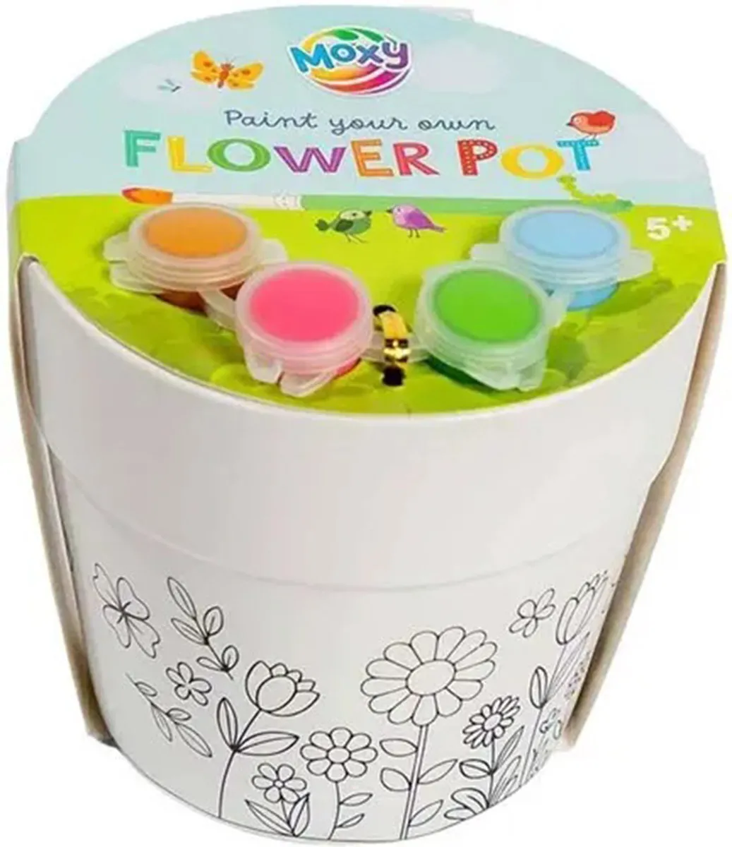 Kreativni set oboj saksiju 11.5cm