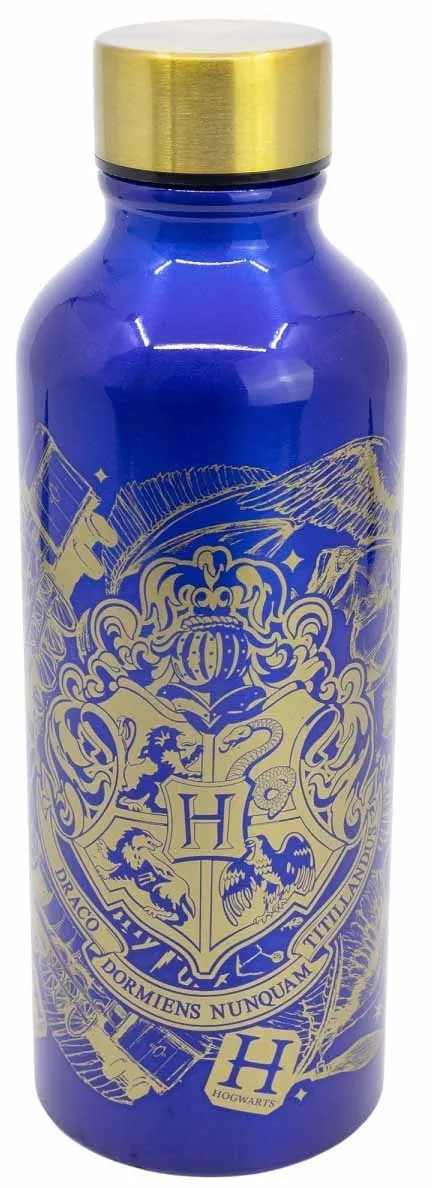Termo flaša HARRY POTTER 740ml