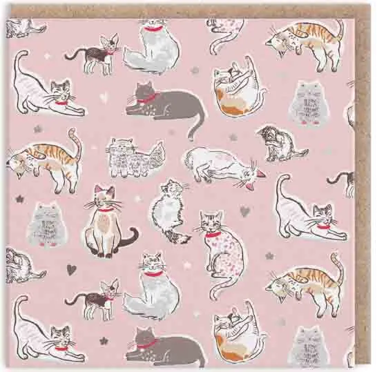 Čestitka CATS MINI SQUARE