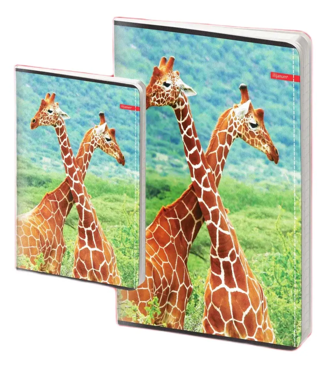 Sveska A4 WILD ANIMALS kvadratići 52L (Više vrsta)