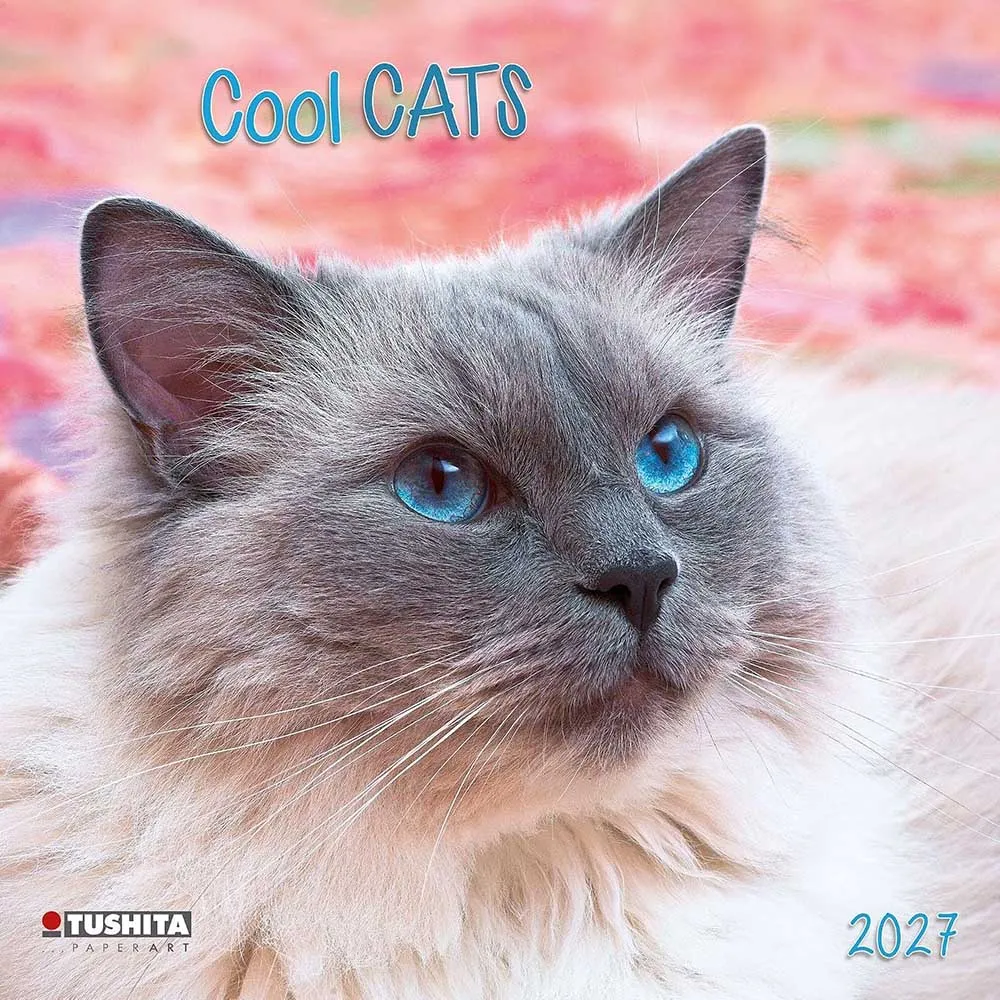 Zidni kalendar 2027 TUSHITA Cool Cats
