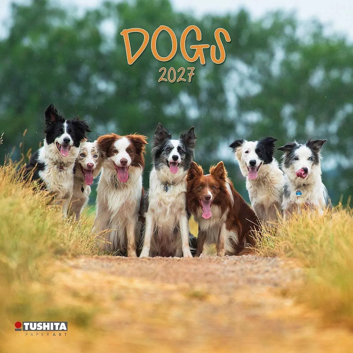 Zidni kalendar 2027 TUSHITA Dogs 