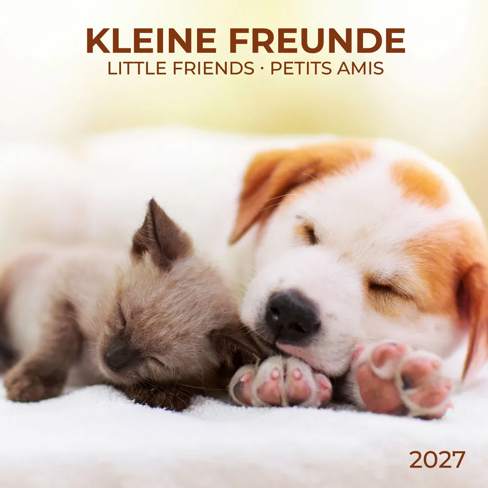 TUSHITA zidni kalendar KLEINE FREUNDE/LITTLE FRIENDS 2027 
