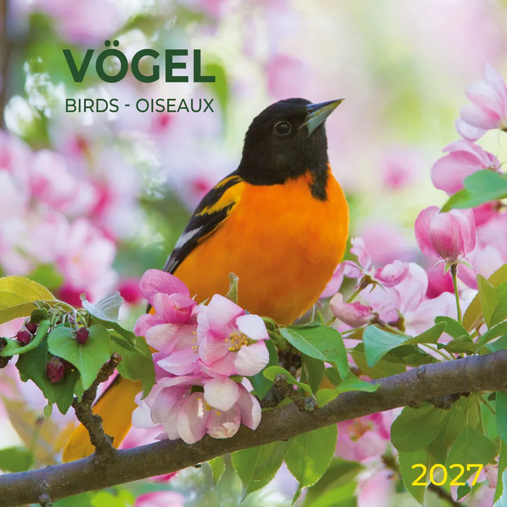 TUSHITA zidni kalendar VOGEL/BIRDS 2027 