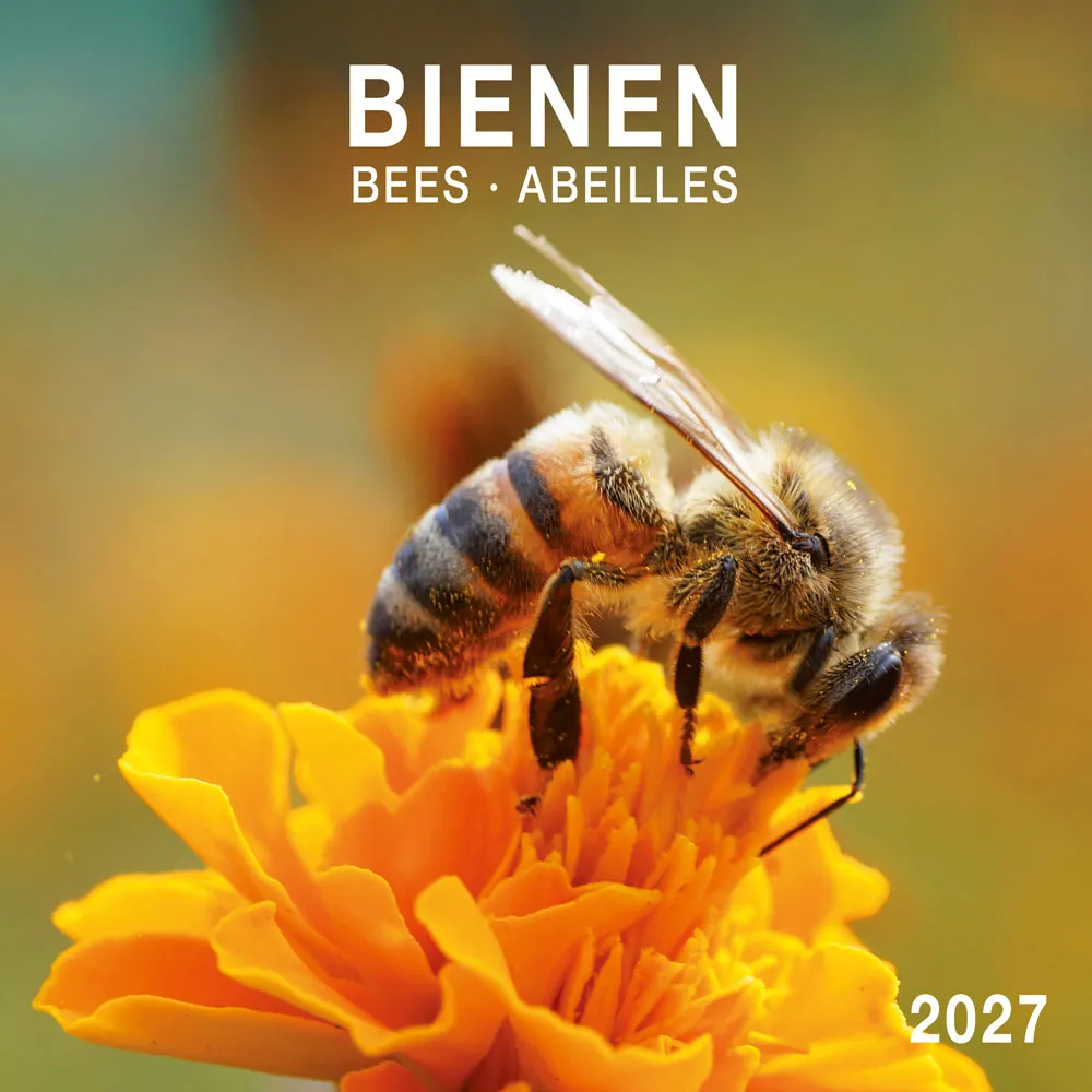 TUSHITA zidni kalendar BIENEN/BEES 2027