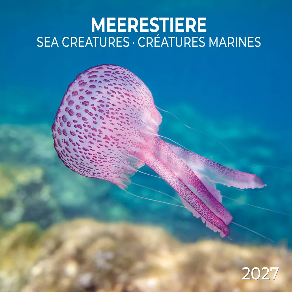 TUSHITA zidni kalendar SEA CREATURES 2027 