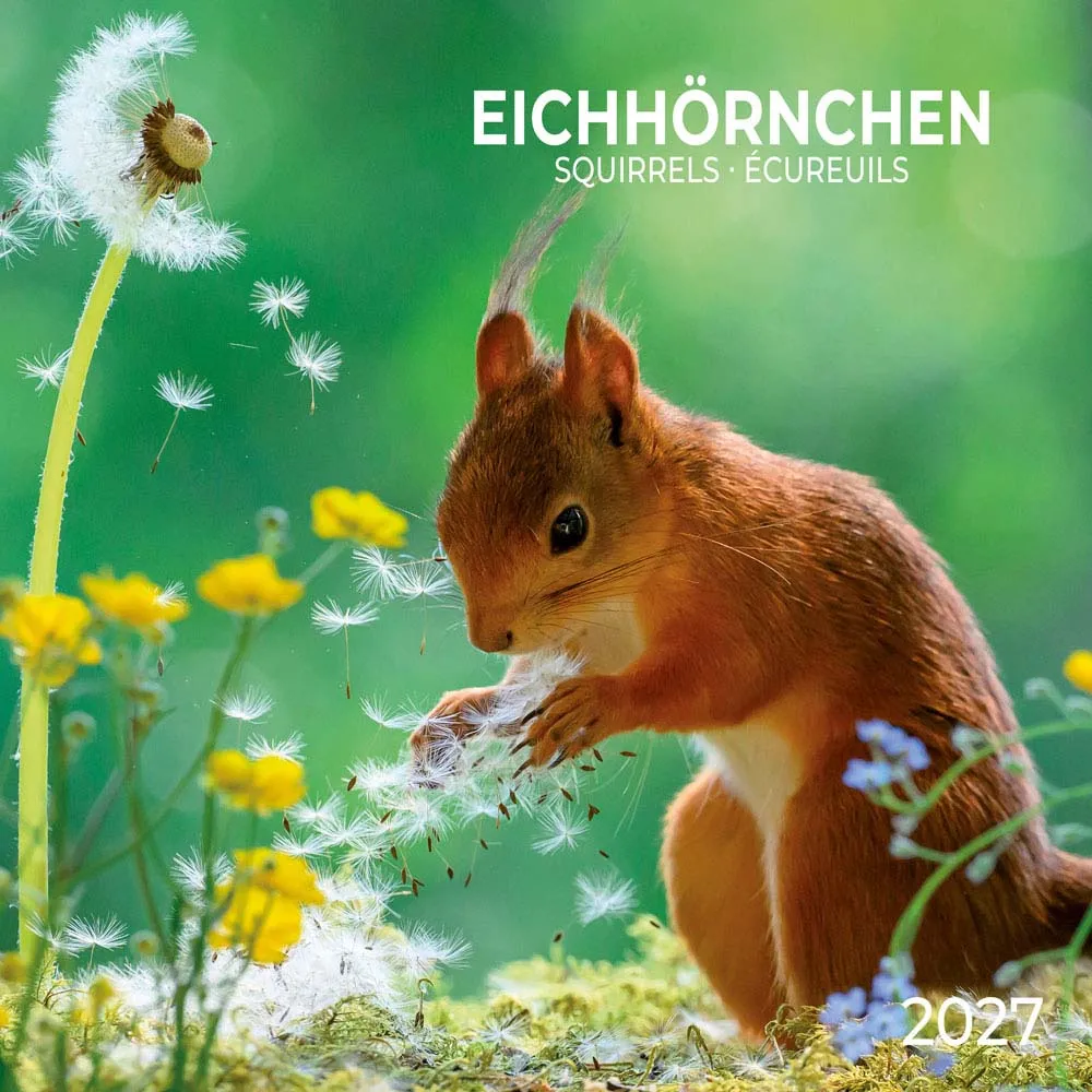 TUSHITA zidni kalendar SQUIRREL 2027