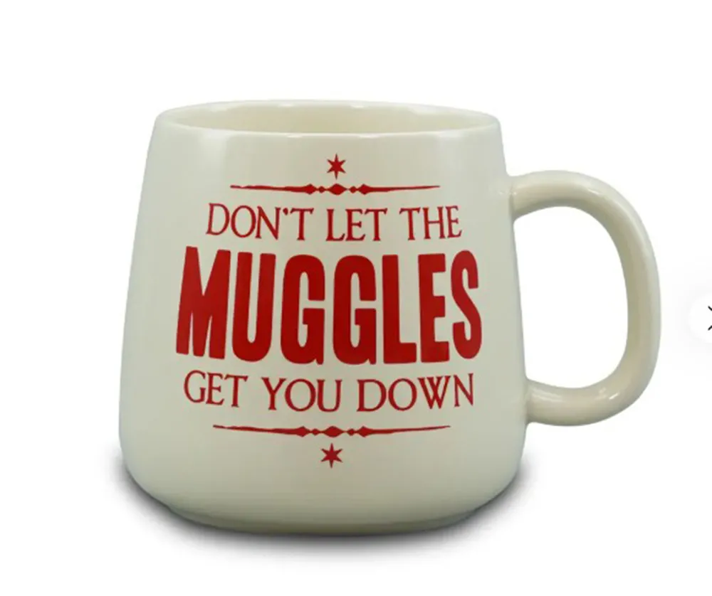 HARRY POTTER ovalna šolja DONT LET THE MUGGLES 370ml