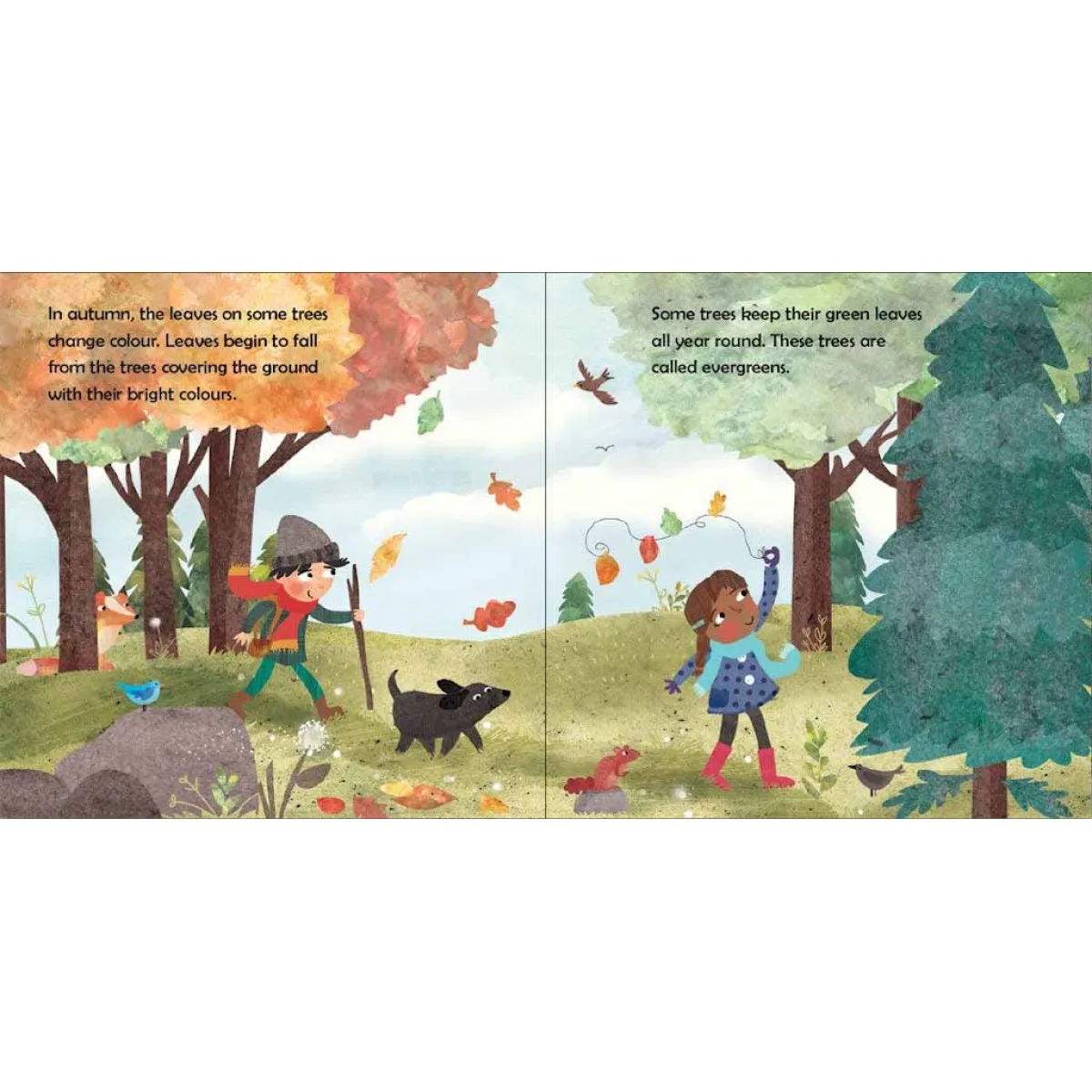 LOOK AND WONDER THROUGH SEASON - Kay Barnham | Knjižare Vulkan